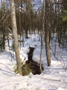 ??????????????????????????